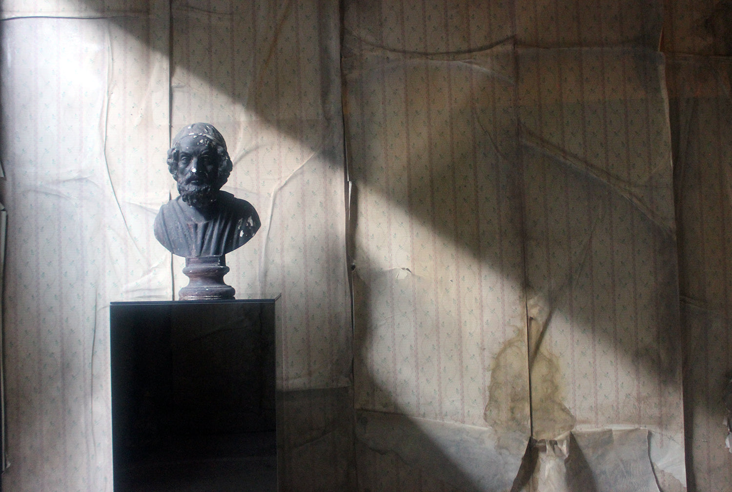 A Decorative Black Painted Plaster Portrait Bust of Homer c.1900