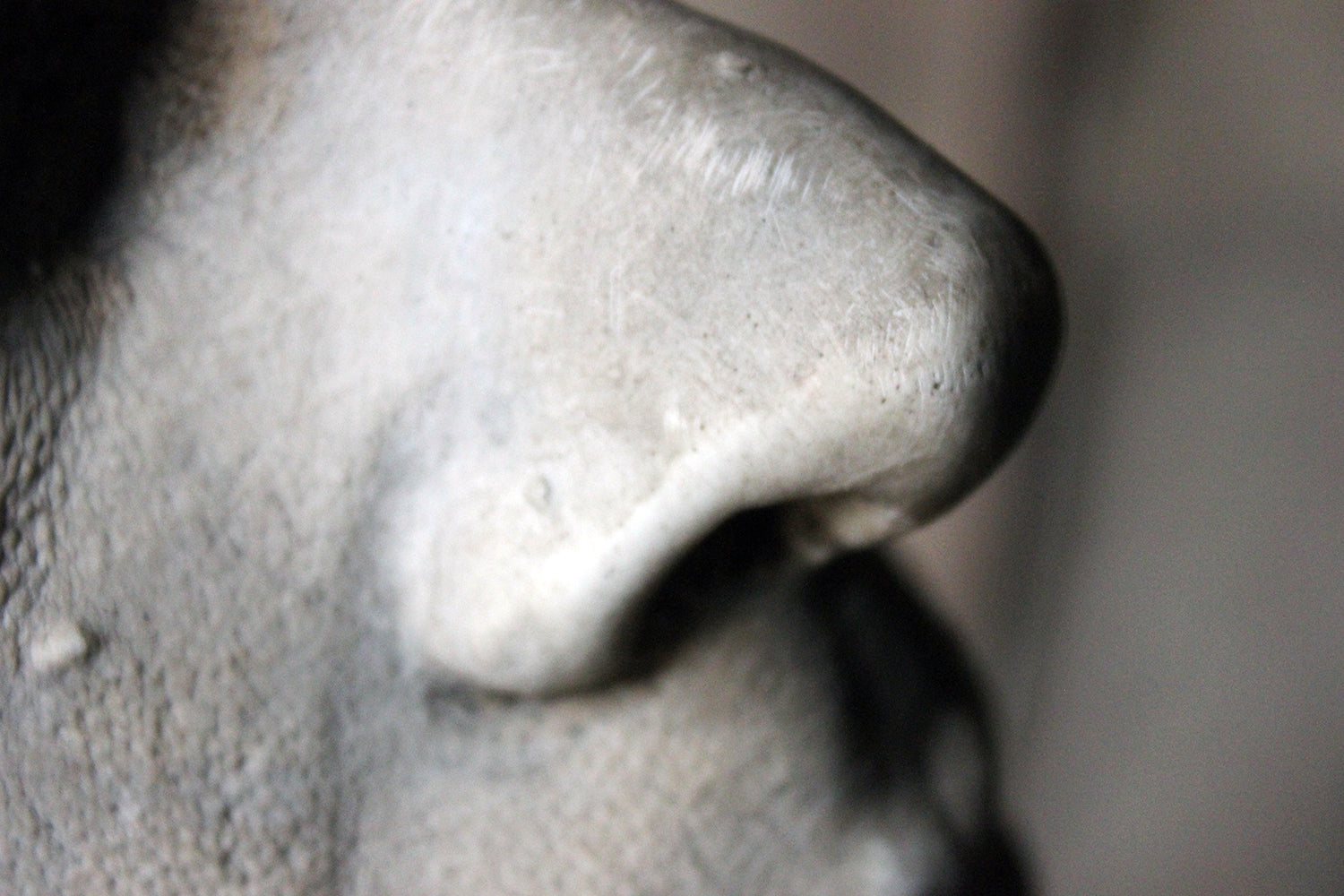 A Finely Cast Early 20thC Plaster Life Mask of a Gentleman