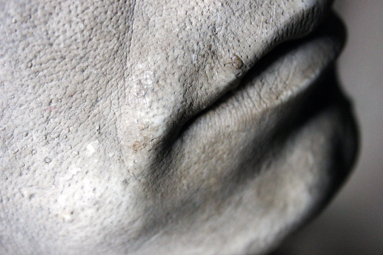 A Finely Cast Early 20thC Plaster Life Mask of a Gentleman