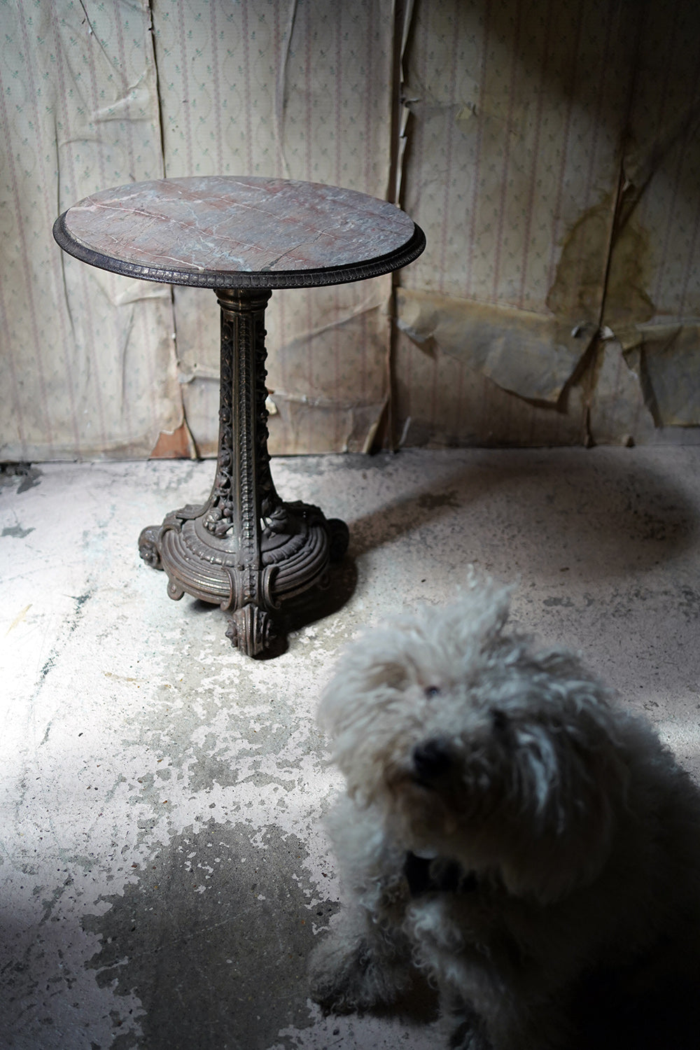 A Cast Iron & Portasanta Brecchia Marble Circular Occasional Table c.1870-80