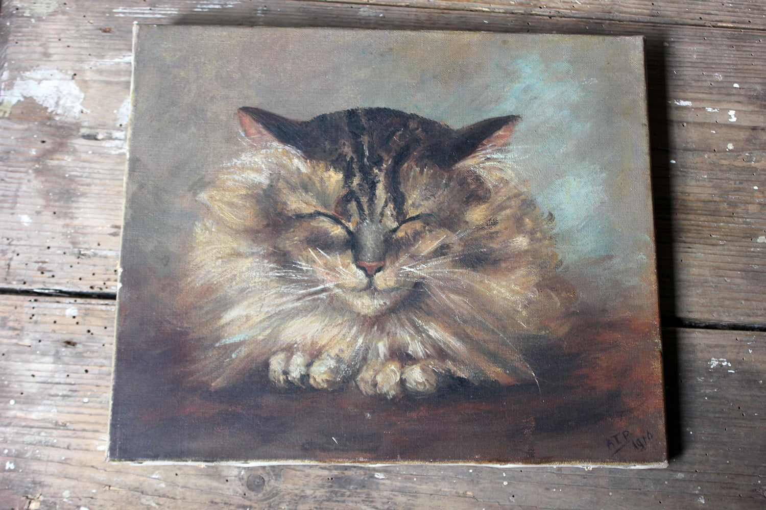 A Charming Early 20thC Oil on Canvas Portrait of a Maine Coon Tabby Cat Dated to 1916; From the Attics at Rokeby Park, County Durham