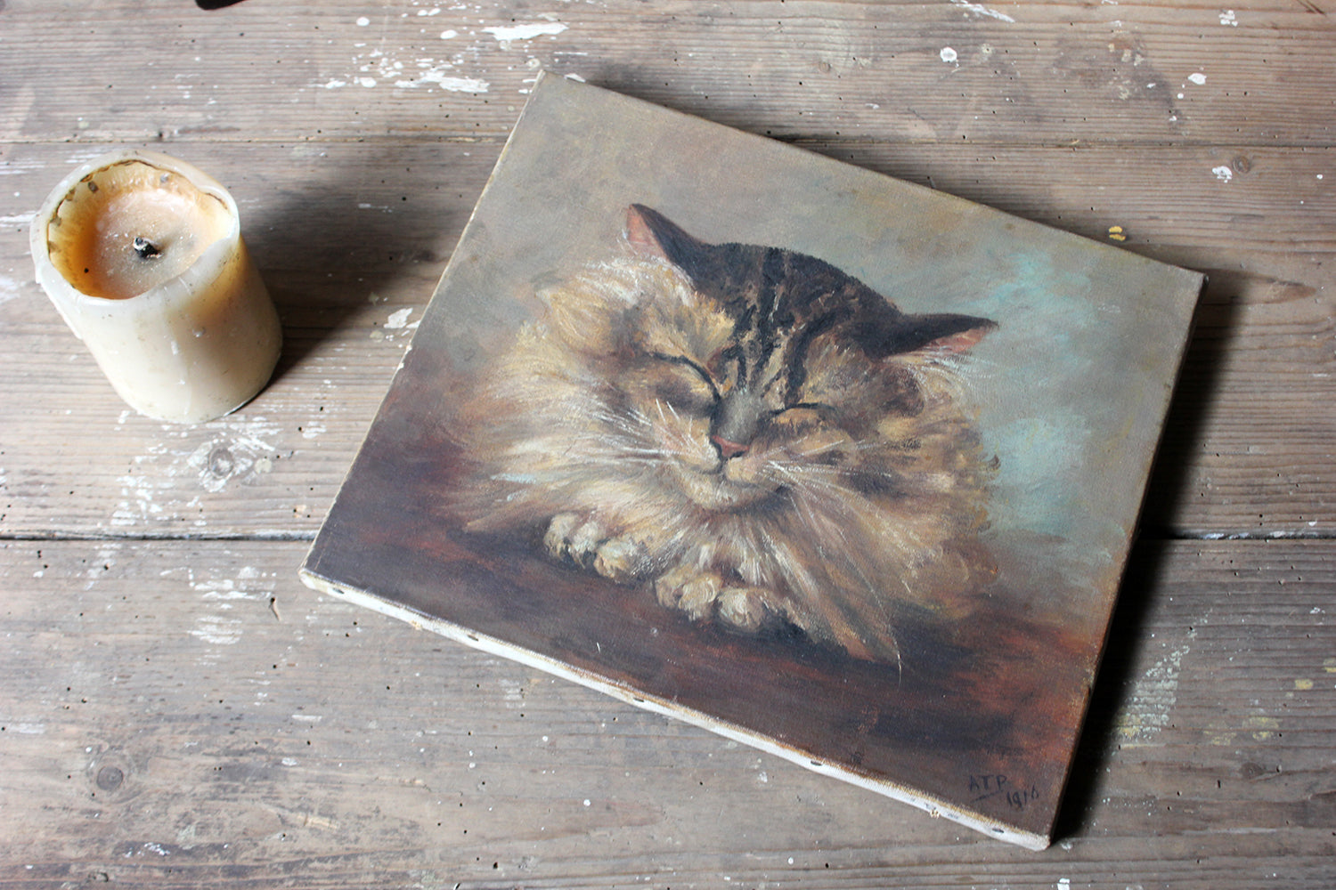 A Charming Early 20thC Oil on Canvas Portrait of a Maine Coon Tabby Cat Dated to 1916; From the Attics at Rokeby Park, County Durham