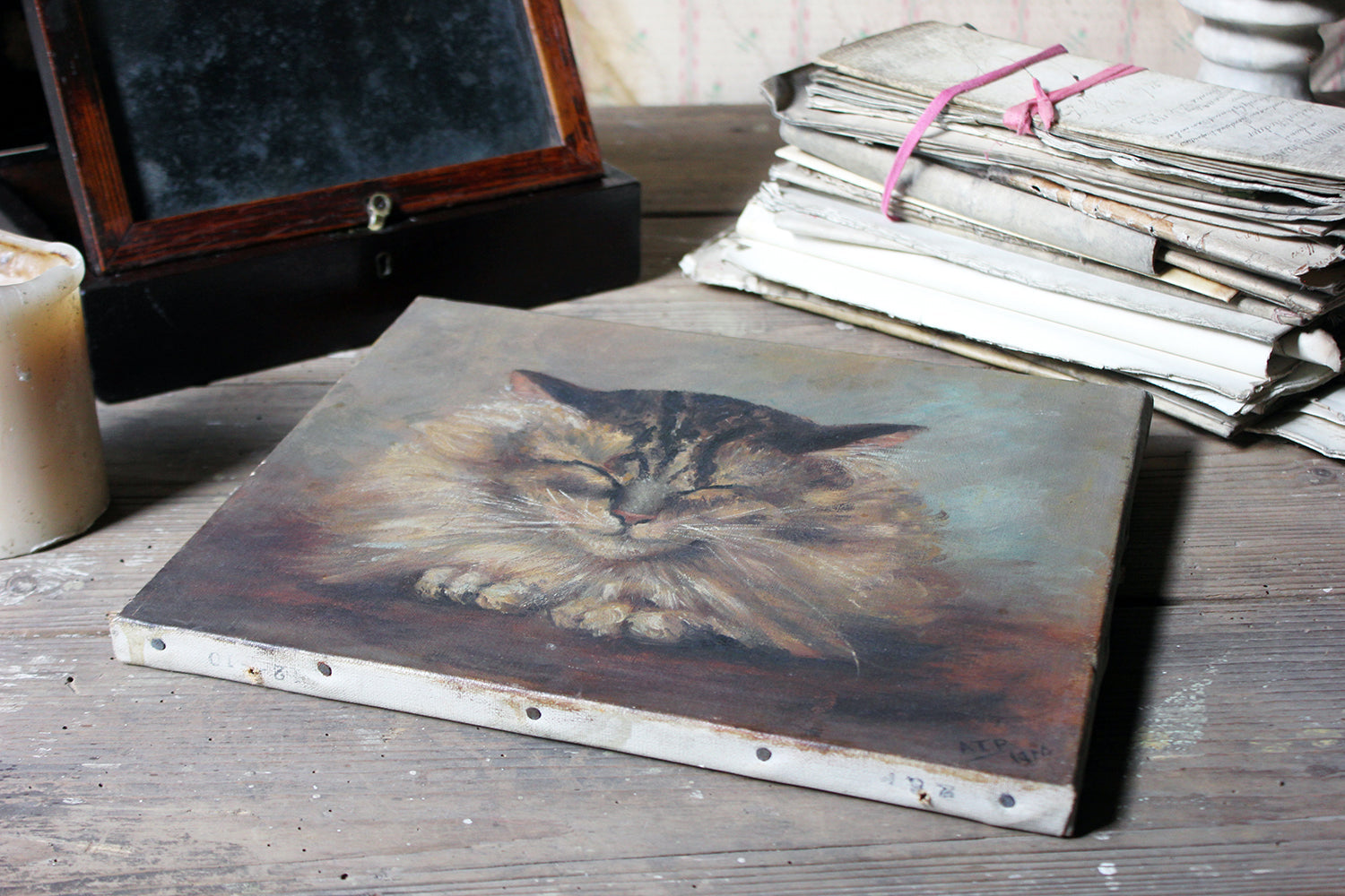 A Charming Early 20thC Oil on Canvas Portrait of a Maine Coon Tabby Cat Dated to 1916; From the Attics at Rokeby Park, County Durham