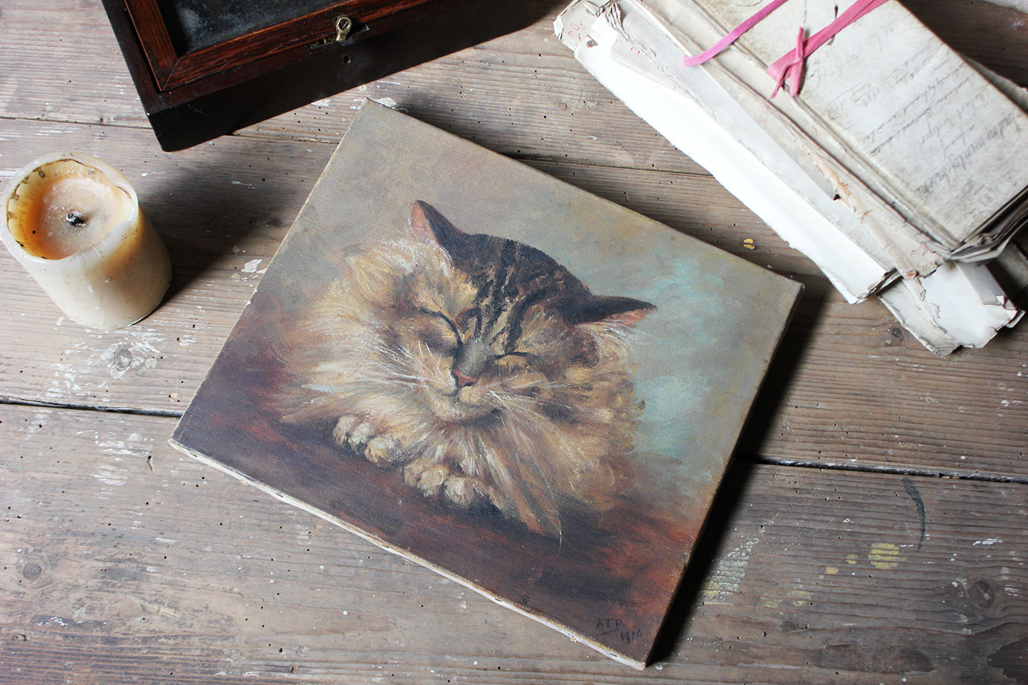 A Charming Early 20thC Oil on Canvas Portrait of a Maine Coon Tabby Cat Dated to 1916; From the Attics at Rokeby Park, County Durham