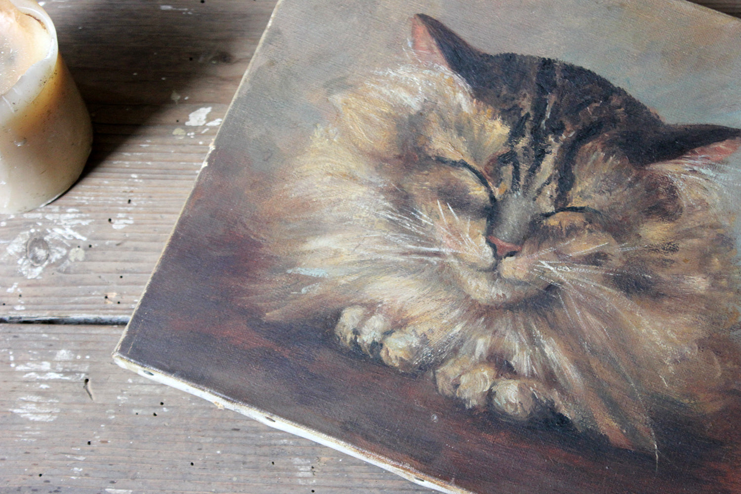 A Charming Early 20thC Oil on Canvas Portrait of a Maine Coon Tabby Cat Dated to 1916; From the Attics at Rokeby Park, County Durham