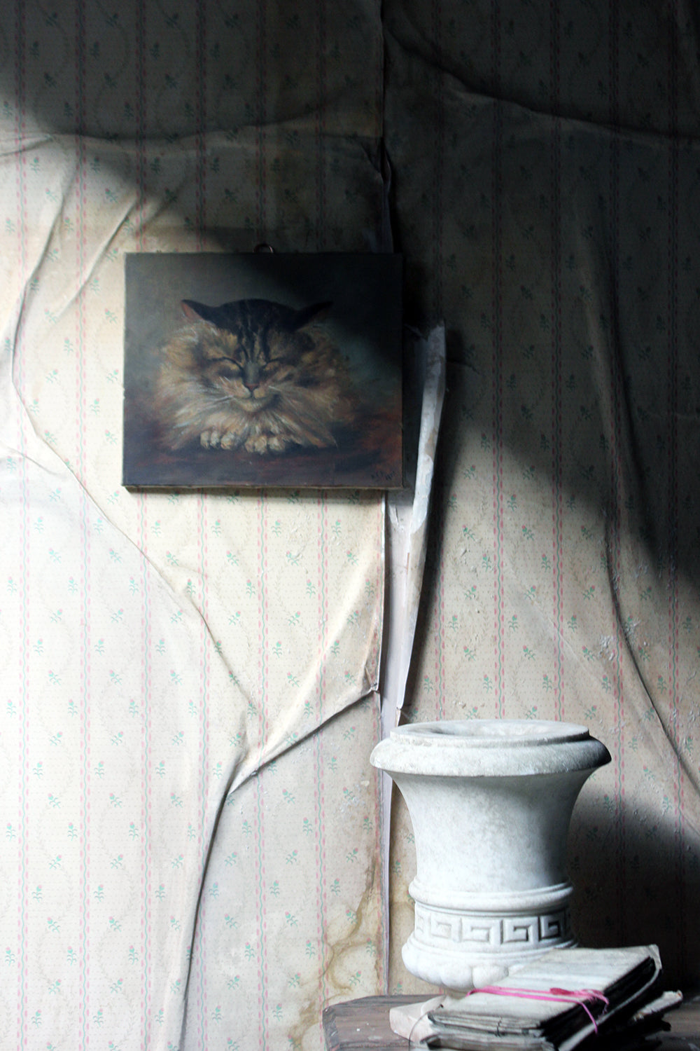 A Charming Early 20thC Oil on Canvas Portrait of a Maine Coon Tabby Cat Dated to 1916; From the Attics at Rokeby Park, County Durham