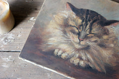 A Charming Early 20thC Oil on Canvas Portrait of a Maine Coon Tabby Cat Dated to 1916; From the Attics at Rokeby Park, County Durham