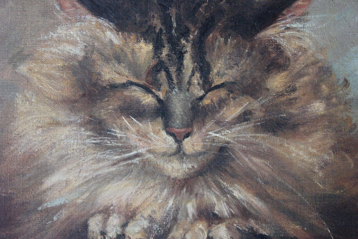 A Charming Early 20thC Oil on Canvas Portrait of a Maine Coon Tabby Cat Dated to 1916; From the Attics at Rokeby Park, County Durham