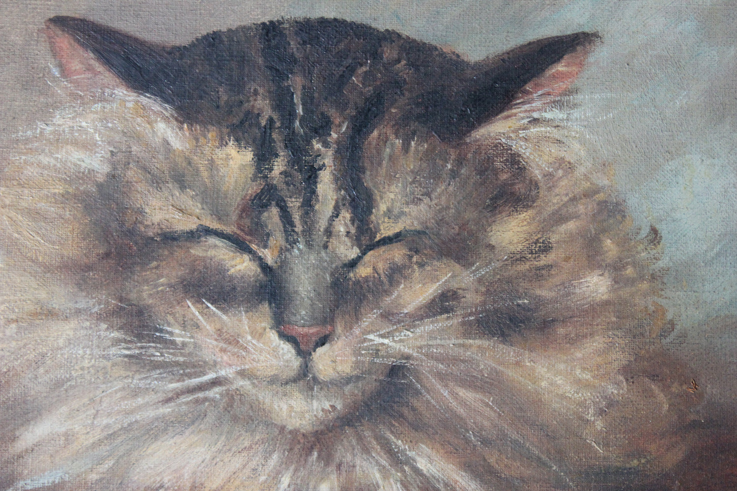 A Charming Early 20thC Oil on Canvas Portrait of a Maine Coon Tabby Cat Dated to 1916; From the Attics at Rokeby Park, County Durham