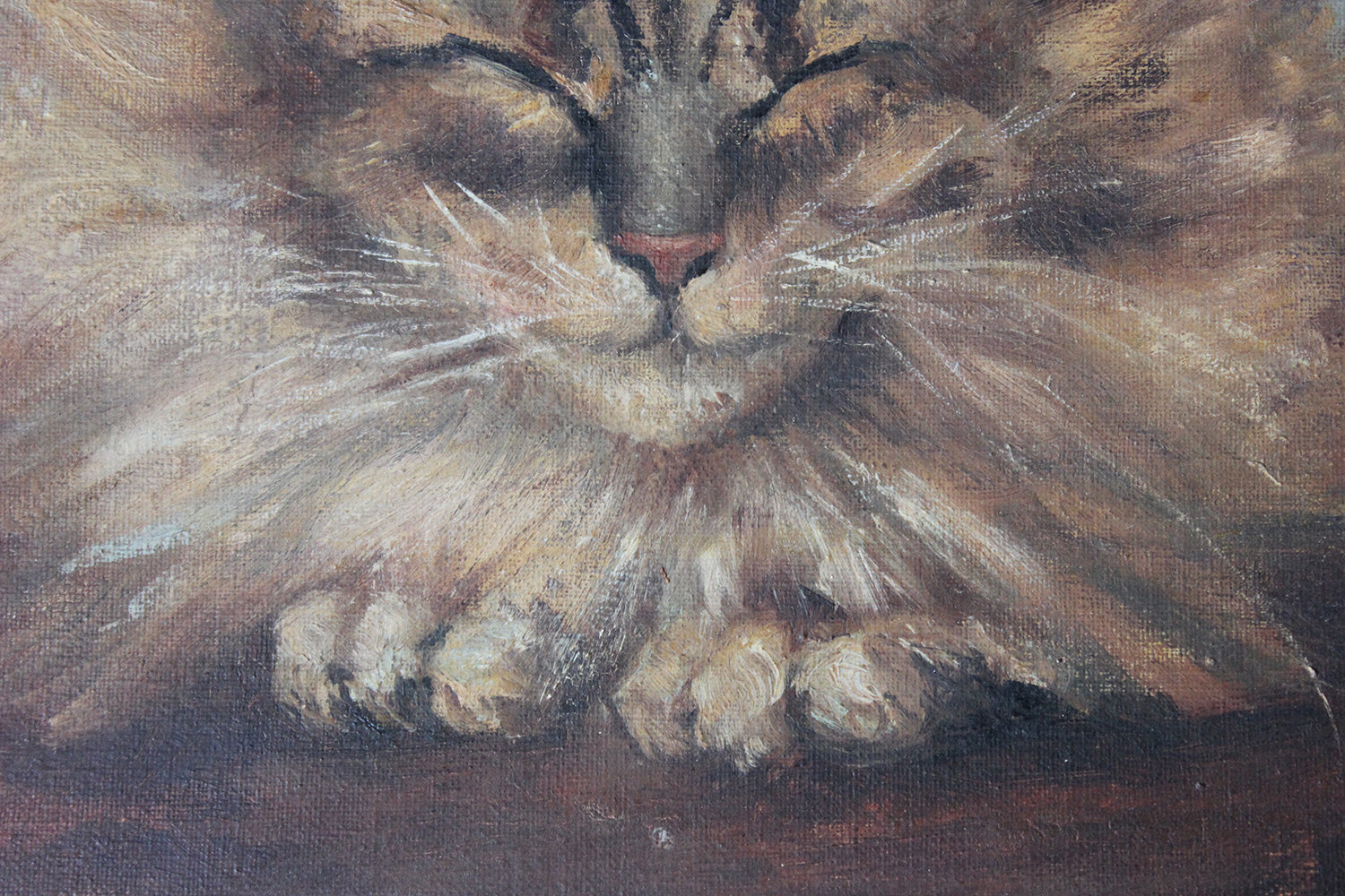 A Charming Early 20thC Oil on Canvas Portrait of a Maine Coon Tabby Cat Dated to 1916; From the Attics at Rokeby Park, County Durham