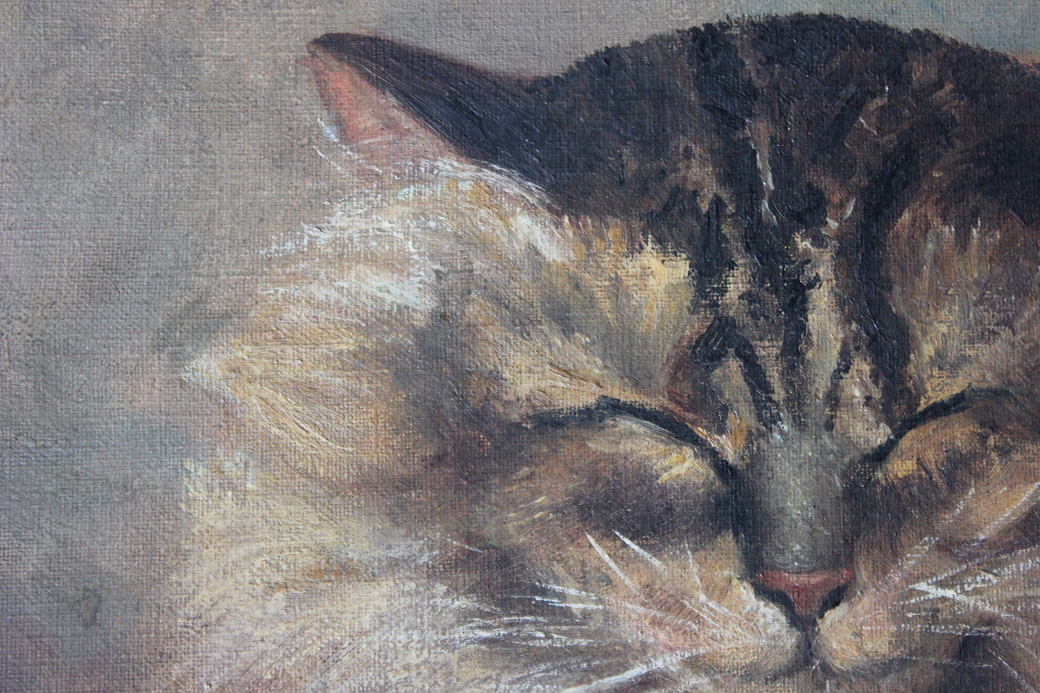 A Charming Early 20thC Oil on Canvas Portrait of a Maine Coon Tabby Cat Dated to 1916; From the Attics at Rokeby Park, County Durham