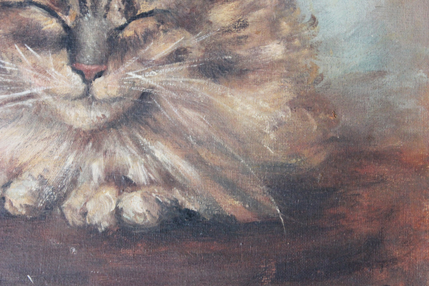 A Charming Early 20thC Oil on Canvas Portrait of a Maine Coon Tabby Cat Dated to 1916; From the Attics at Rokeby Park, County Durham