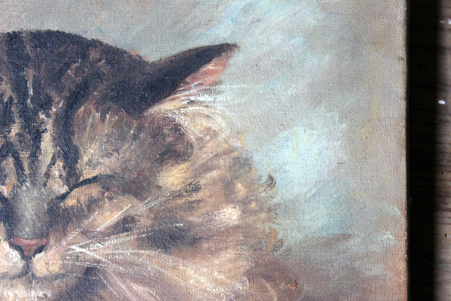 A Charming Early 20thC Oil on Canvas Portrait of a Maine Coon Tabby Cat Dated to 1916; From the Attics at Rokeby Park, County Durham