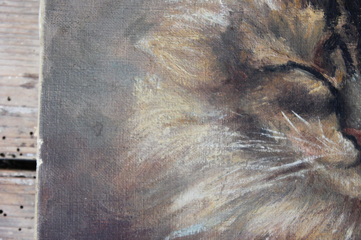 A Charming Early 20thC Oil on Canvas Portrait of a Maine Coon Tabby Cat Dated to 1916; From the Attics at Rokeby Park, County Durham