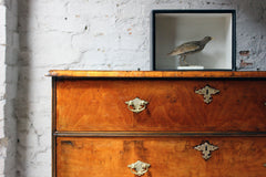 A Delightful Queen Anne Period Walnut Chest of Drawers c.1710