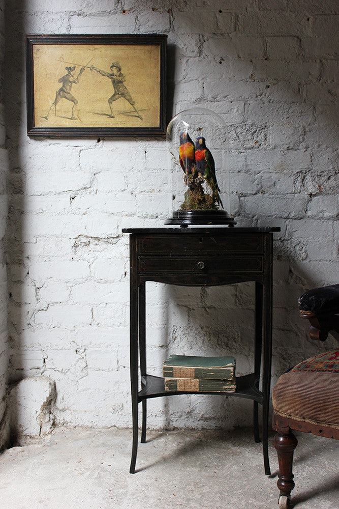 A Good Quality 20thC Dome Cased Pair of Taxidermy Rainbow Lorikeets