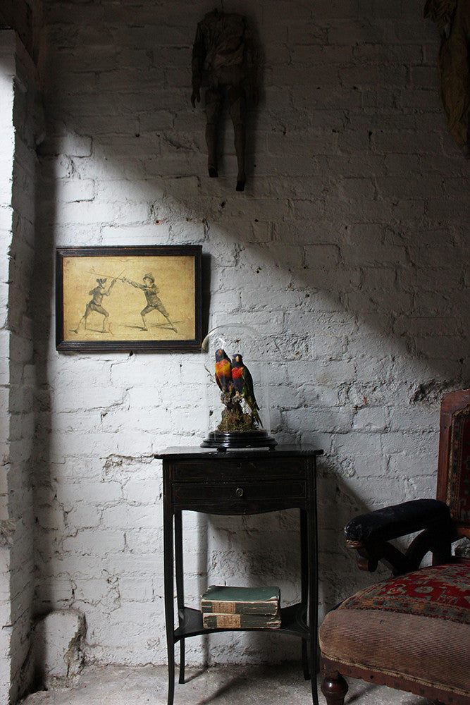 A Good Quality 20thC Dome Cased Pair of Taxidermy Rainbow Lorikeets