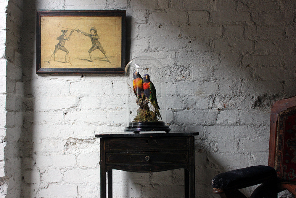 A Good Quality 20thC Dome Cased Pair of Taxidermy Rainbow Lorikeets