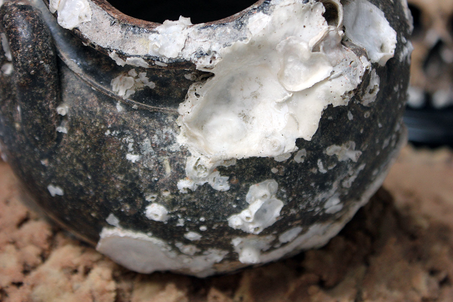 A 15thC Salvaged Shipwreck Sawankhalok Ceramic Jar from The Royal Nanhai c.1460
