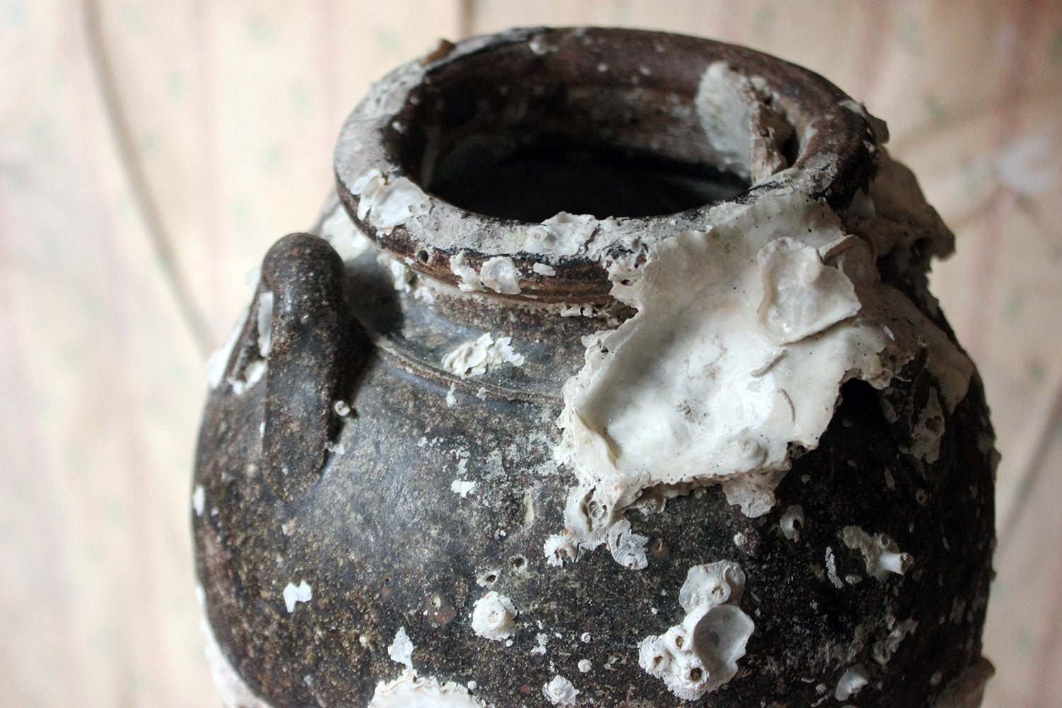 A 15thC Salvaged Shipwreck Sawankhalok Ceramic Jar from The Royal Nanhai c.1460
