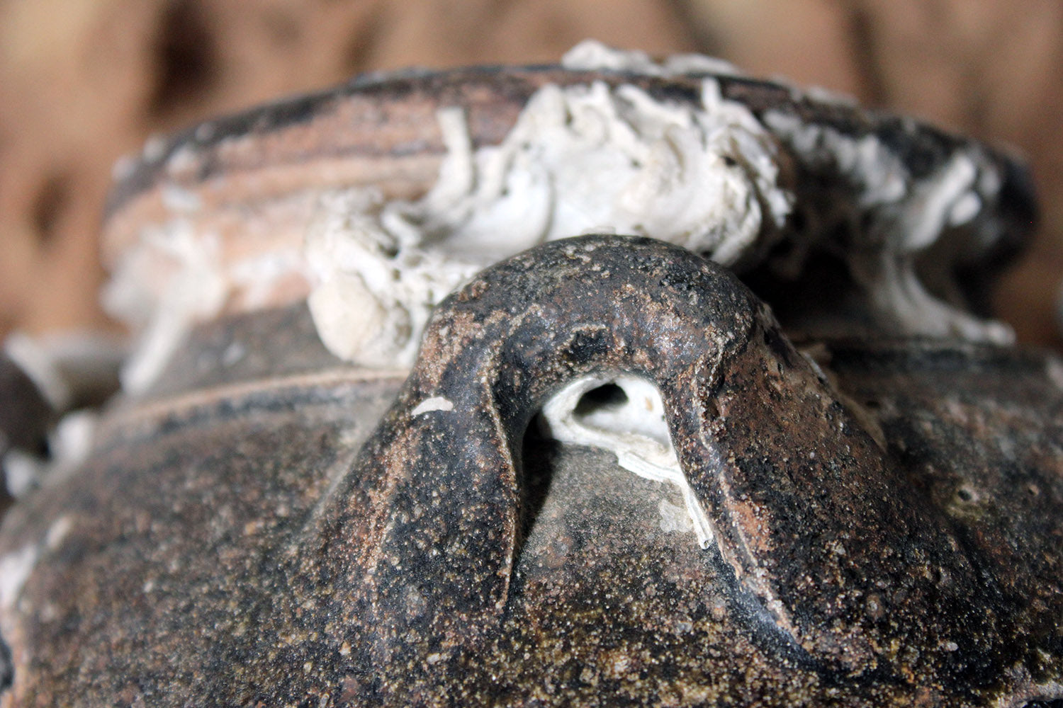 A 15thC Salvaged Shipwreck Sawankhalok Ceramic Jar from The Royal Nanhai c.1460