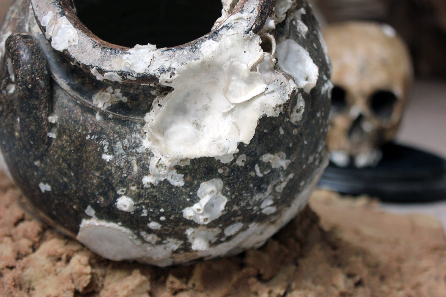 A 15thC Salvaged Shipwreck Sawankhalok Ceramic Jar from The Royal Nanhai c.1460
