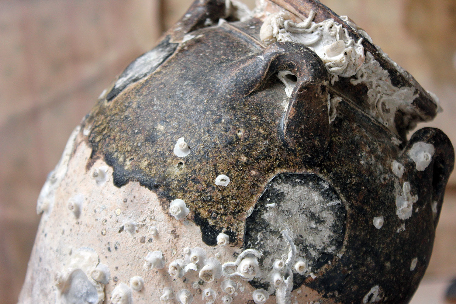 A 15thC Salvaged Shipwreck Sawankhalok Ceramic Jar from The Royal Nanhai c.1460