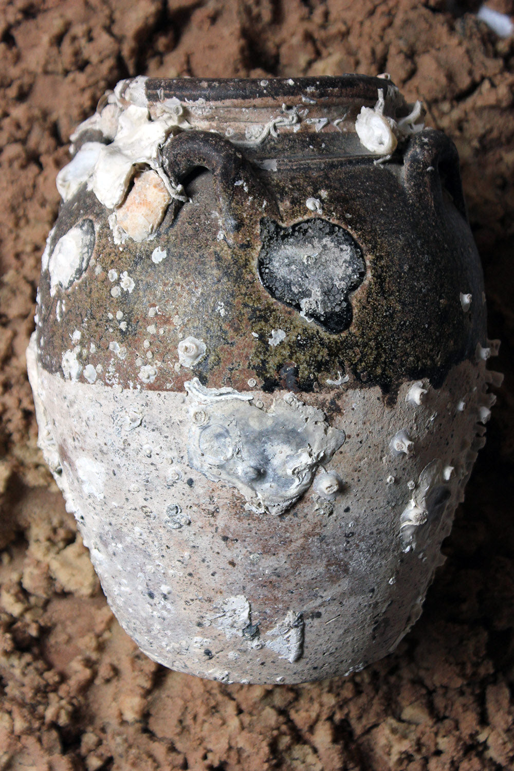 A 15thC Salvaged Shipwreck Sawankhalok Ceramic Jar from The Royal Nanhai c.1460