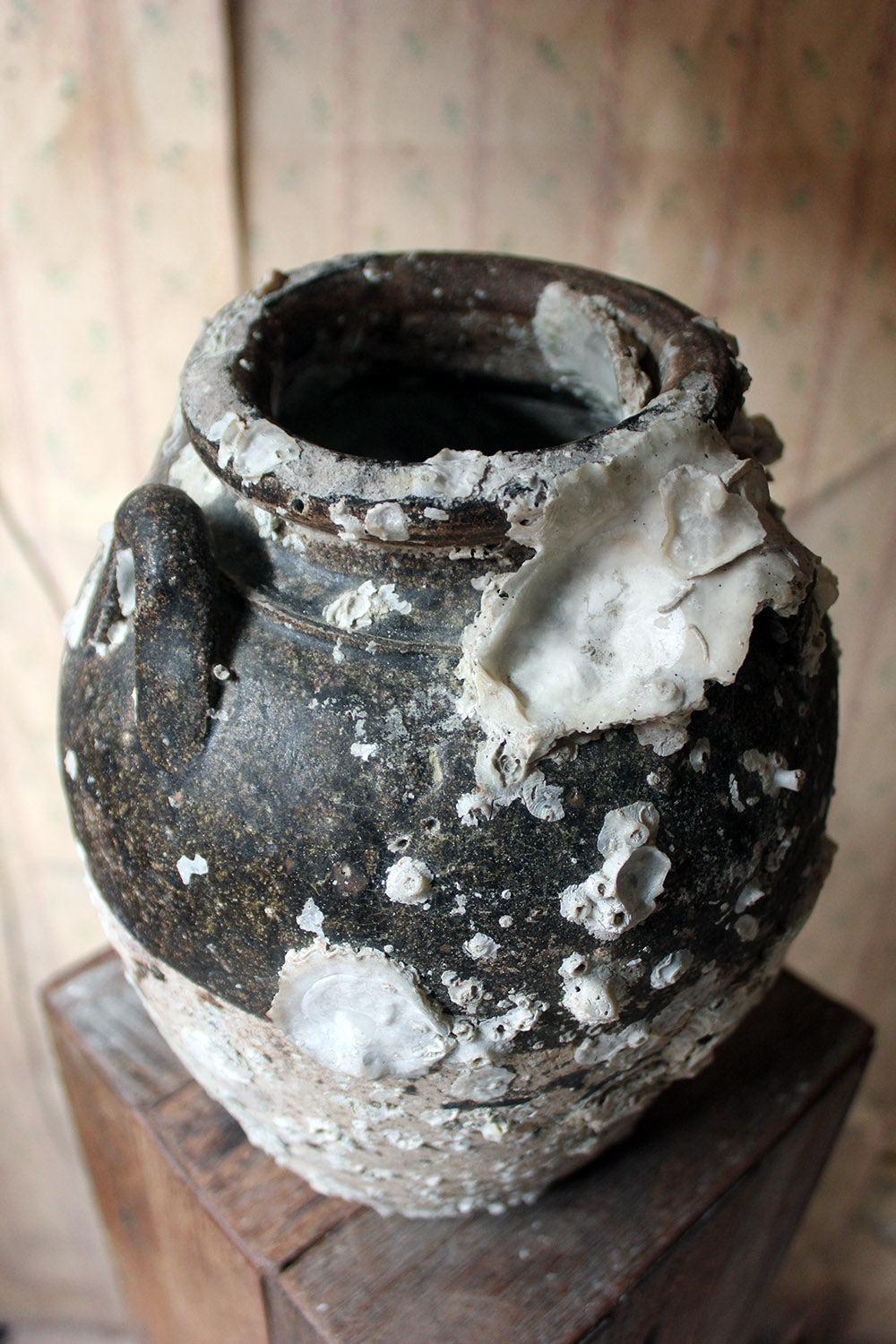 A 15thC Salvaged Shipwreck Sawankhalok Ceramic Jar from The Royal Nanhai c.1460