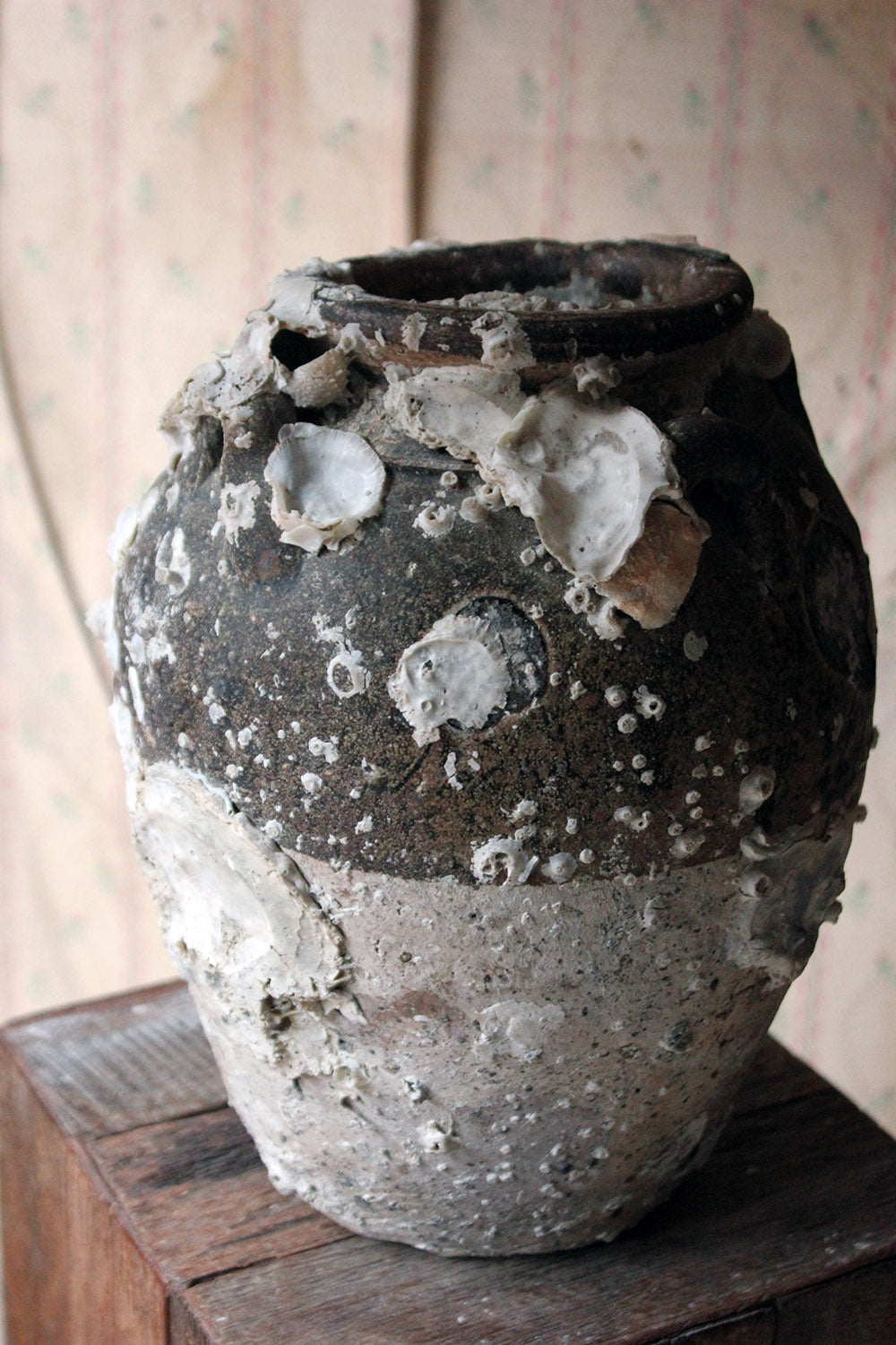 A 15thC Salvaged Shipwreck Sawankhalok Ceramic Jar from The Royal Nanhai c.1460