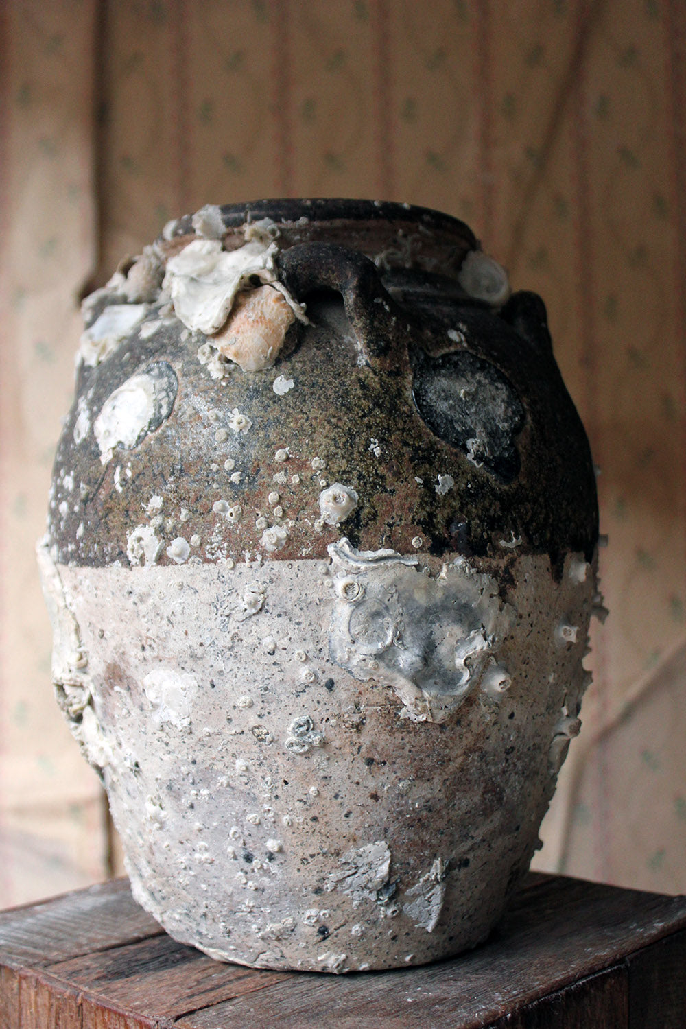 A 15thC Salvaged Shipwreck Sawankhalok Ceramic Jar from The Royal Nanhai c.1460