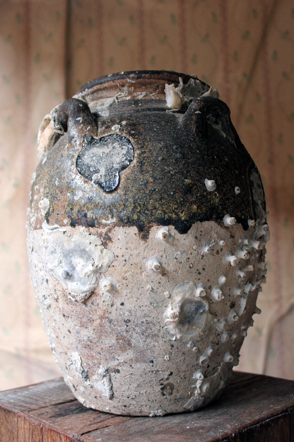 A 15thC Salvaged Shipwreck Sawankhalok Ceramic Jar from The Royal Nanhai c.1460