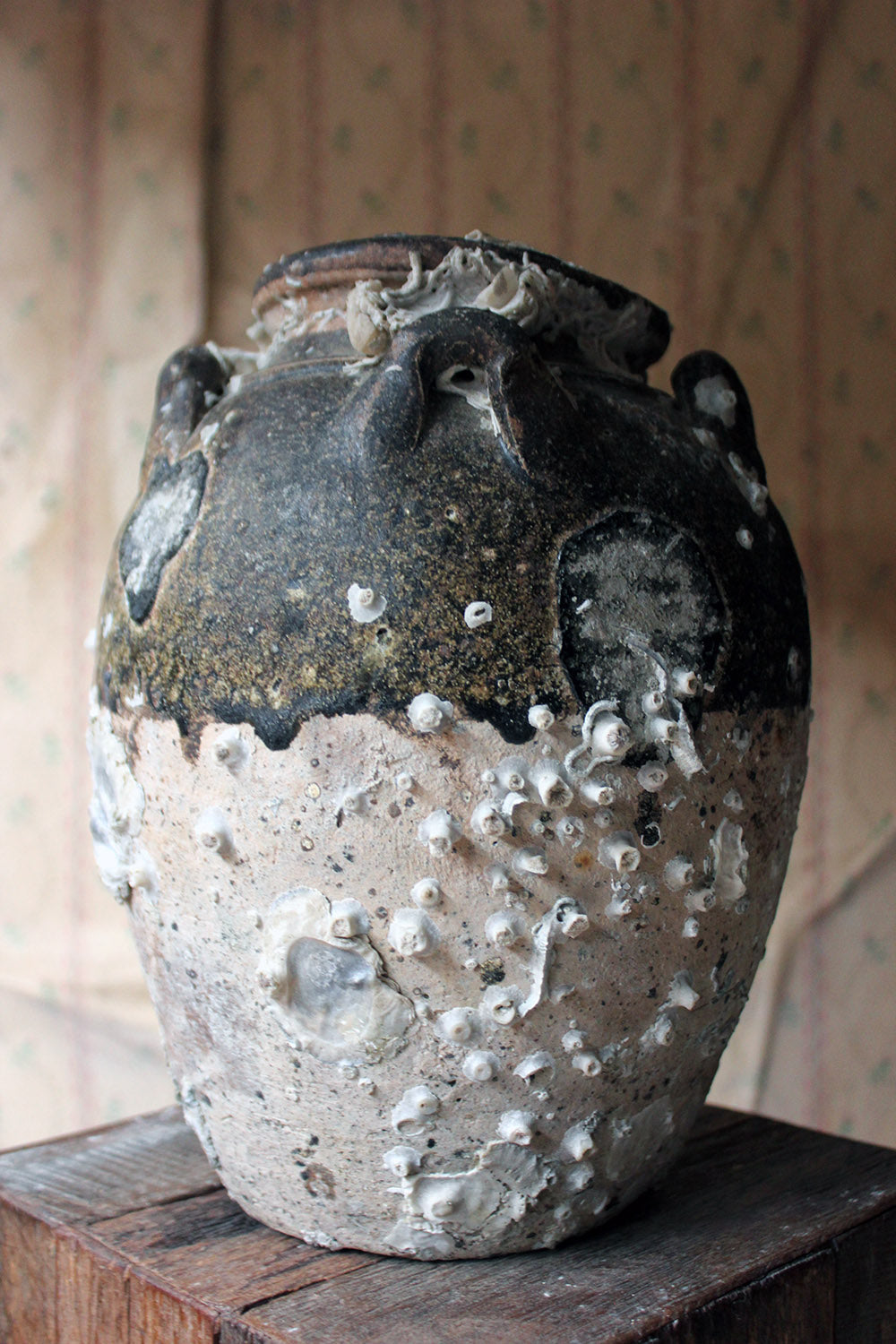 A 15thC Salvaged Shipwreck Sawankhalok Ceramic Jar from The Royal Nanhai c.1460