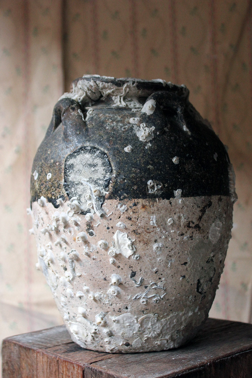 A 15thC Salvaged Shipwreck Sawankhalok Ceramic Jar from The Royal Nanhai c.1460