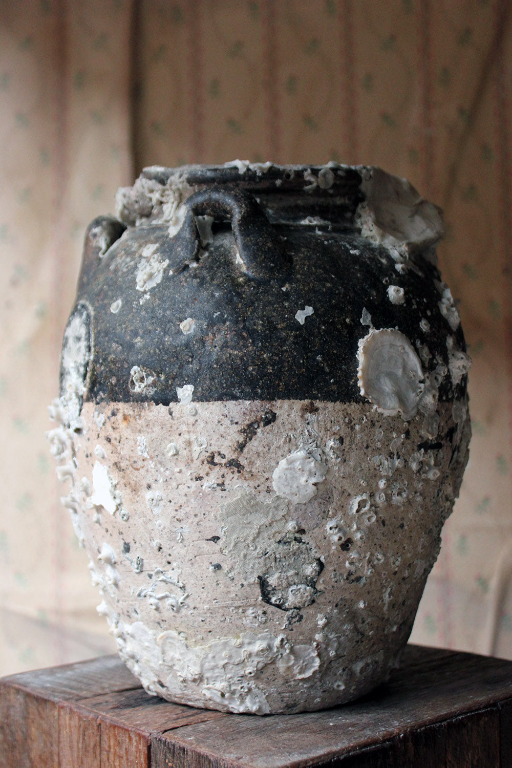 A 15thC Salvaged Shipwreck Sawankhalok Ceramic Jar from The Royal Nanhai c.1460