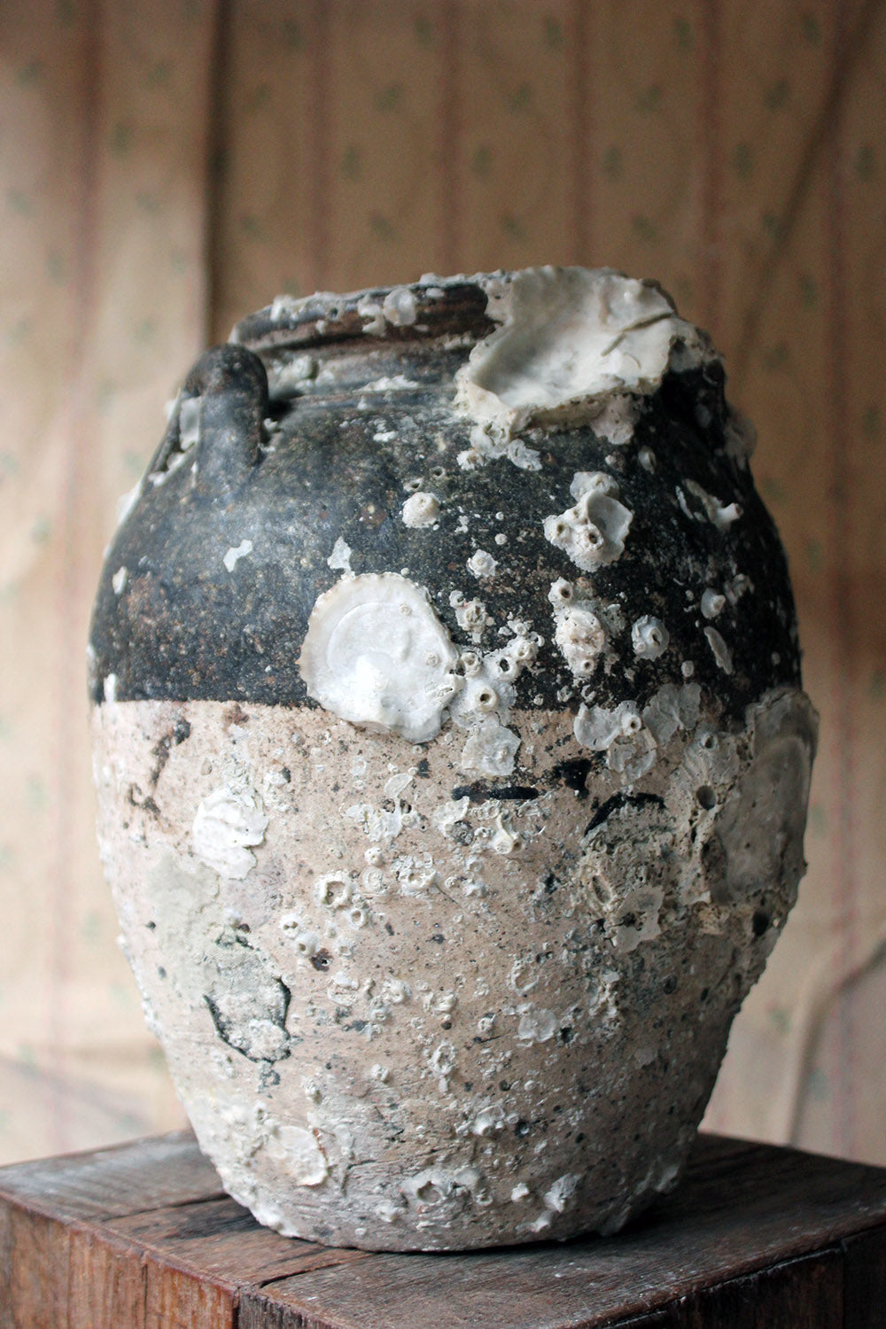 A 15thC Salvaged Shipwreck Sawankhalok Ceramic Jar from The Royal Nanhai c.1460