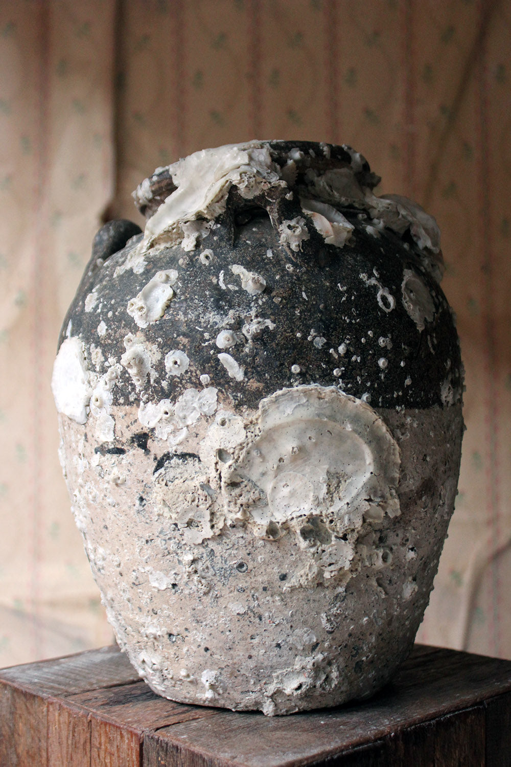 A 15thC Salvaged Shipwreck Sawankhalok Ceramic Jar from The Royal Nanhai c.1460