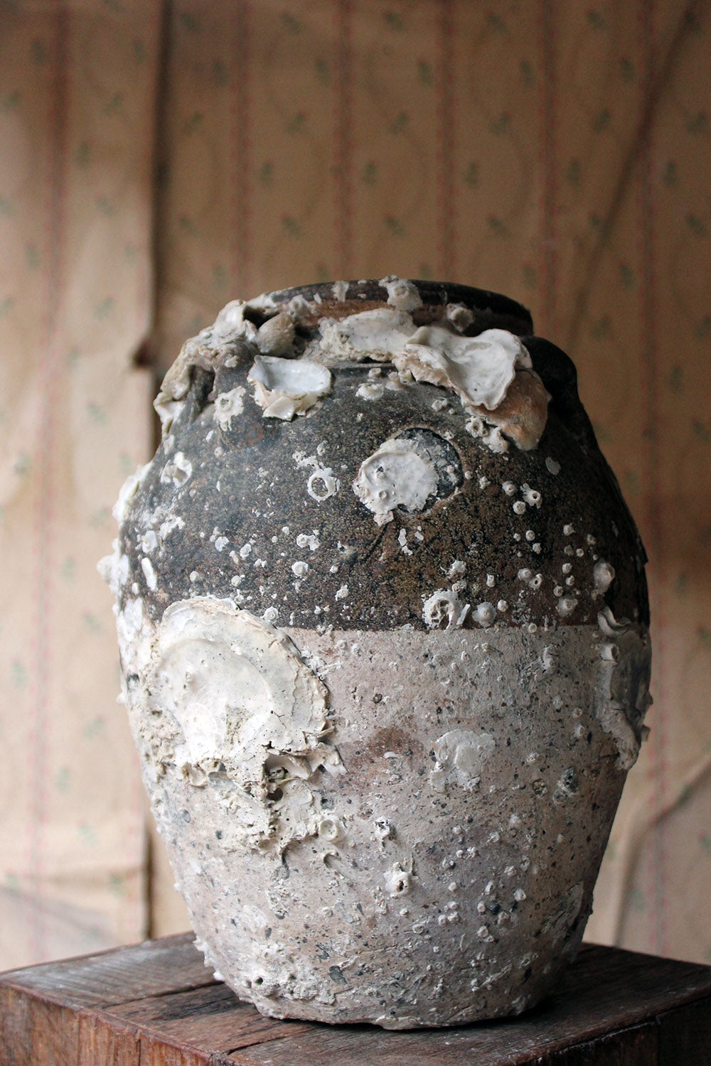 A 15thC Salvaged Shipwreck Sawankhalok Ceramic Jar from The Royal Nanhai c.1460