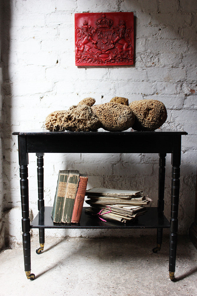 A Beautiful Early 20thC Collection of Nine Porifera/Sponge Specimens