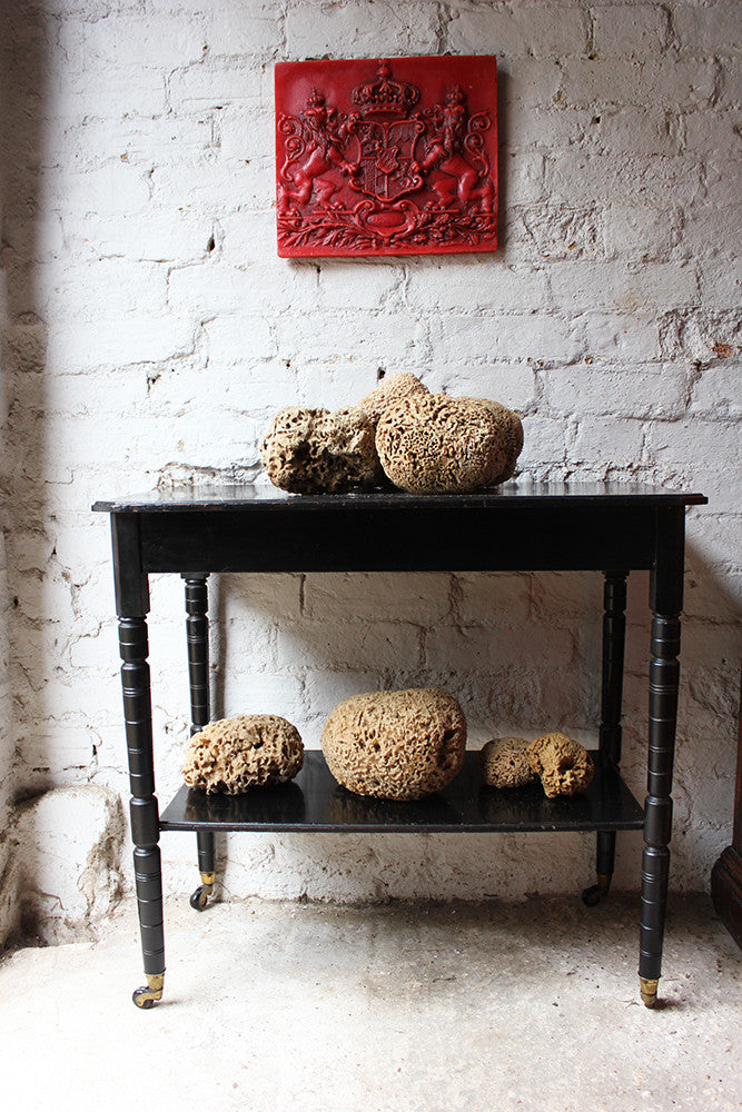 A Beautiful Early 20thC Collection of Nine Porifera/Sponge Specimens