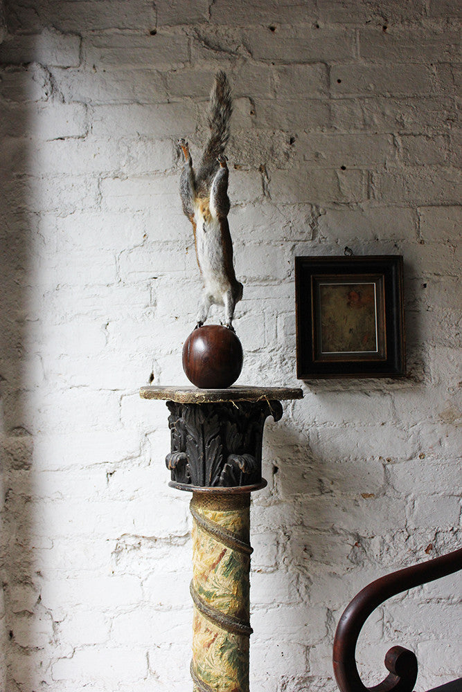 A Contemporary Taxidermy Squirrel Mounted on an Edwardian Period Bowling Bowl