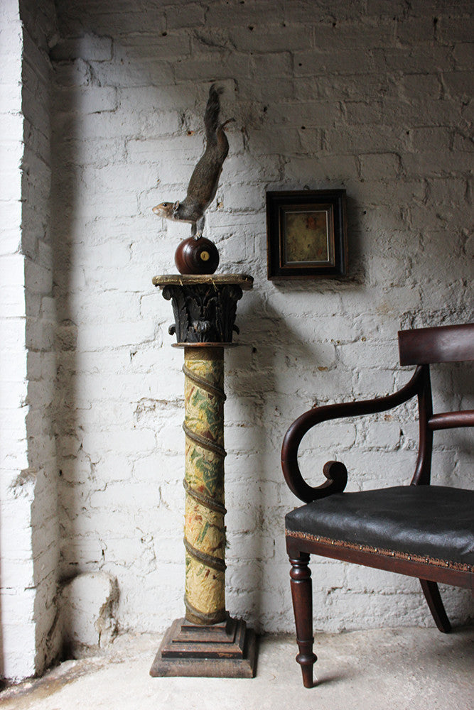 A Contemporary Taxidermy Squirrel Mounted on an Edwardian Period Bowling Bowl