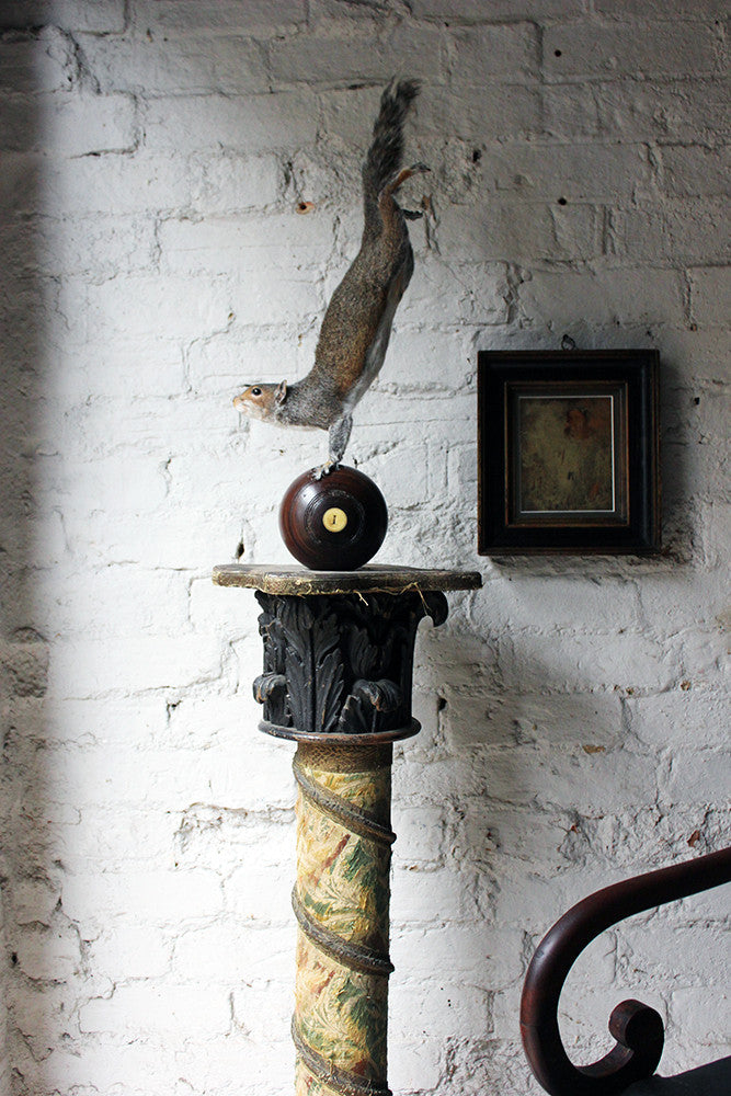 A Contemporary Taxidermy Squirrel Mounted on an Edwardian Period Bowling Bowl