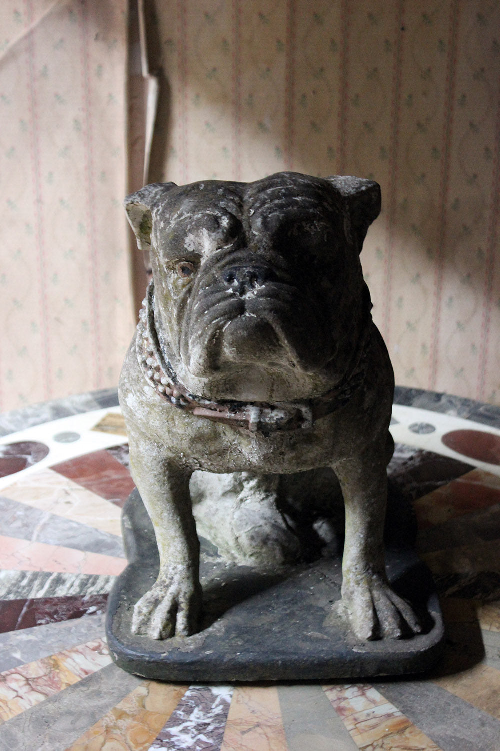 A Decorative Mid 20thC Painted Cast Stone Bulldog c.1940-50