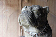 A Decorative Mid 20thC Painted Cast Stone Bulldog c.1940-50