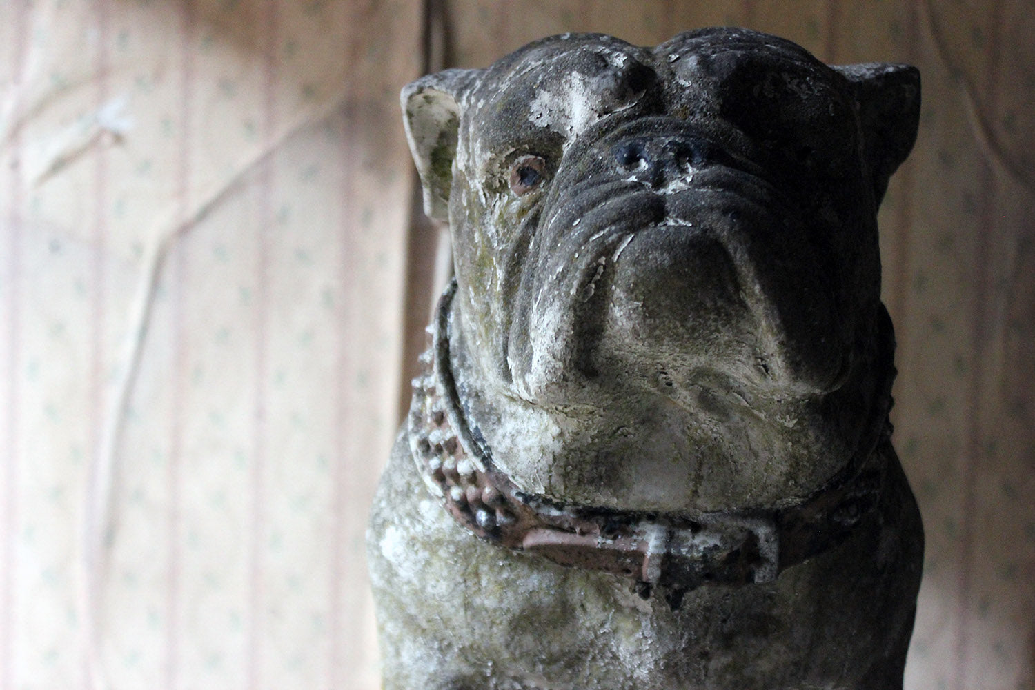 A Decorative Mid 20thC Painted Cast Stone Bulldog c.1940-50