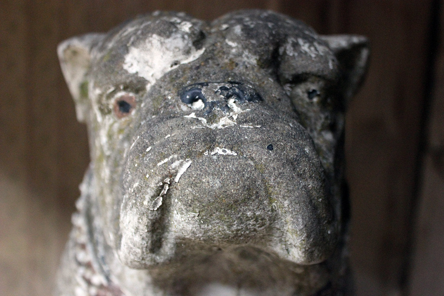 A Decorative Mid 20thC Painted Cast Stone Bulldog c.1940-50