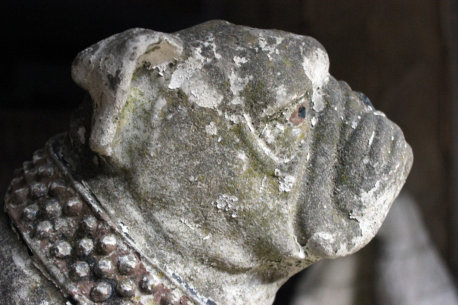 A Decorative Mid 20thC Painted Cast Stone Bulldog c.1940-50