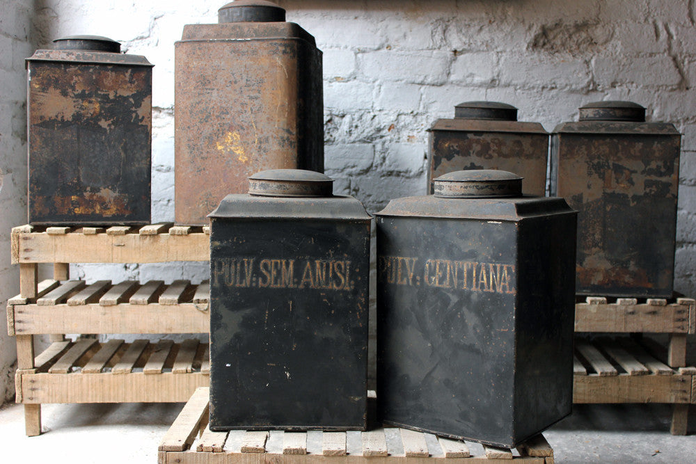 A Decorative Set of Five 19thC Black-Painted Toleware Apothecary Canisters