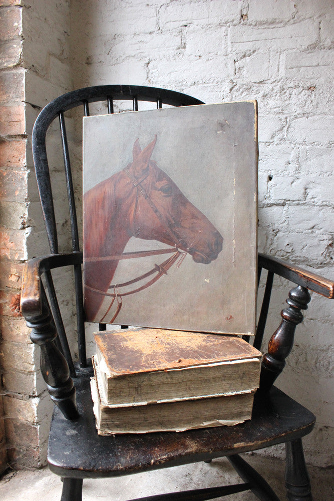 A Good Oil on Canvas Study of a Horse's Head, Dated 1912